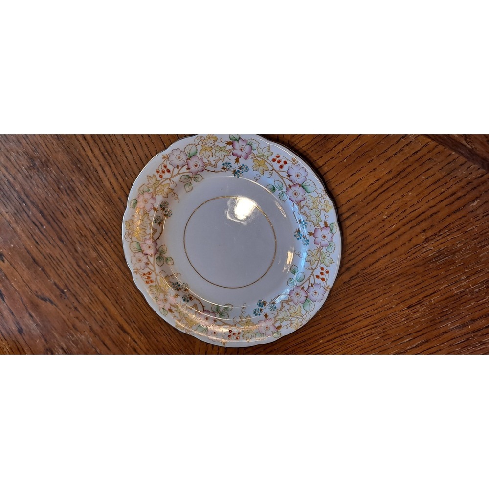 Royal Stafford Hedgerow Floral Vine / Berries Bread & Butter Plate